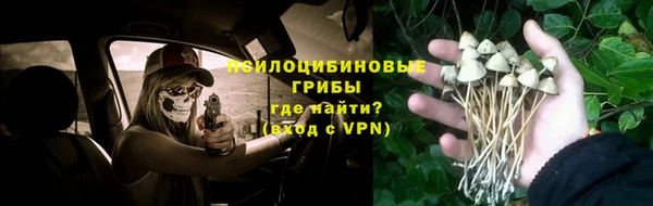 мескалин Алексин